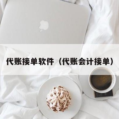 代账接单软件（代账会计接单）