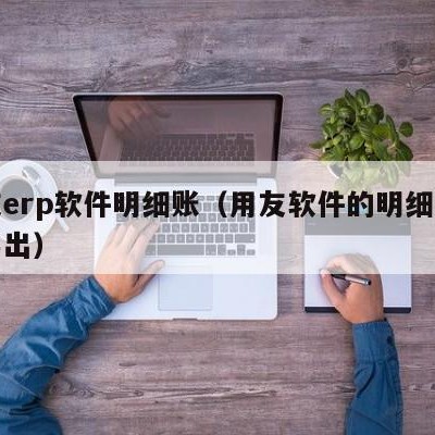 用友erp软件明细账（用友软件的明细账如何导出）