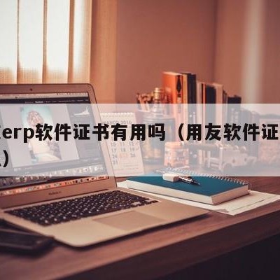 用友erp软件证书有用吗（用友软件证书叫什么）