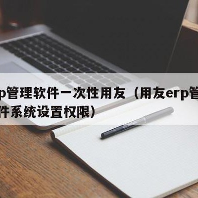 erp管理软件一次性用友（用友erp管理软件系统设置权限）