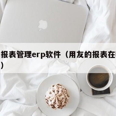 用友报表管理erp软件（用友的报表在哪个地方）