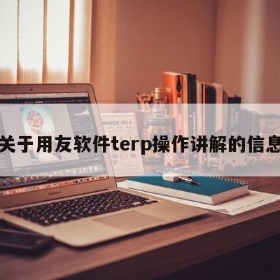 关于用友软件terp操作讲解的信息