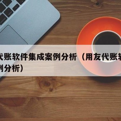 用友代账软件集成案例分析（用友代账软件集成案例分析）