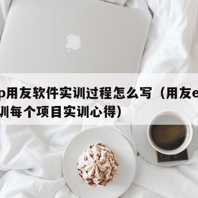 erp用友软件实训过程怎么写（用友erp实训每个项目实训心得）