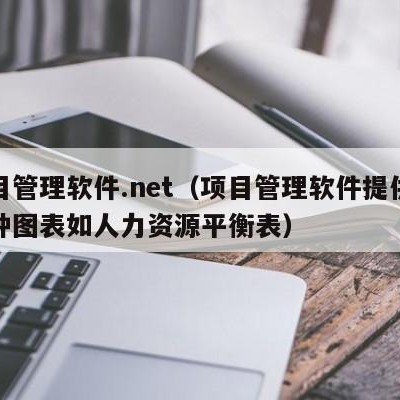 项目管理软件.net（项目管理软件提供了各种图表如人力资源平衡表）