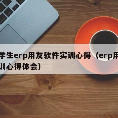 大学生erp用友软件实训心得（erp用友实训心得体会）