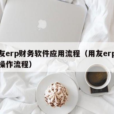 用友erp财务软件应用流程（用友erp财务操作流程）