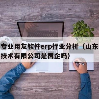 济宁专业用友软件erp行业分析（山东用友软件技术有限公司是国企吗）