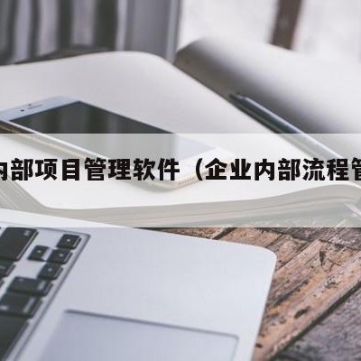 企业内部项目管理软件（企业内部流程管理软件）