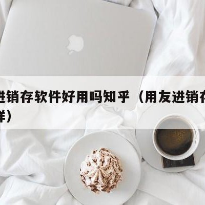 用友进销存软件好用吗知乎（用友进销存软件怎么样）