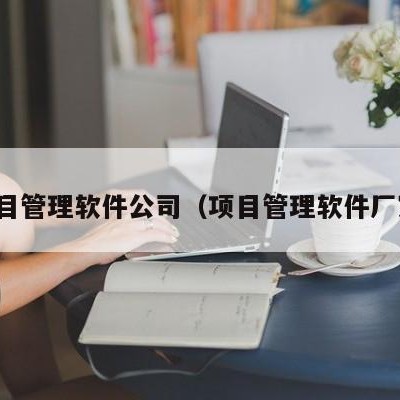 项目管理软件公司（项目管理软件厂家）