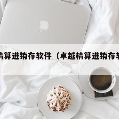 卓越精算进销存软件（卓越精算进销存软件多少钱）