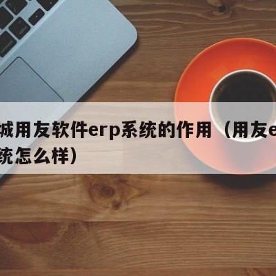 聊城用友软件erp系统的作用（用友erp系统怎么样）