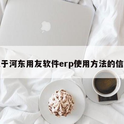 关于河东用友软件erp使用方法的信息