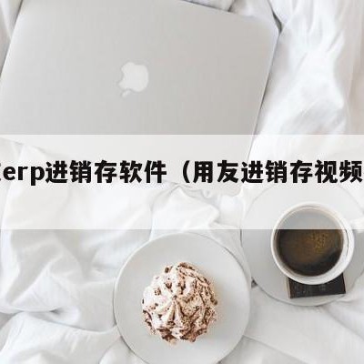 用友erp进销存软件（用友进销存视频教程）