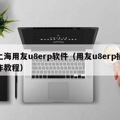 上海用友u8erp软件（用友u8erp操作教程）