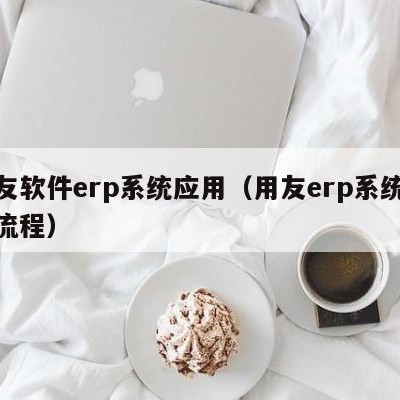 用友软件erp系统应用（用友erp系统操作流程）