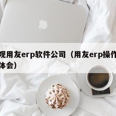 参观用友erp软件公司（用友erp操作心得体会）