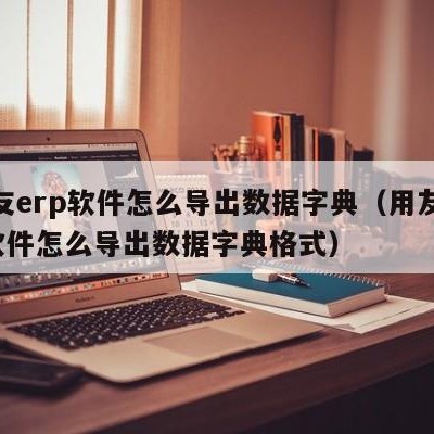 用友erp软件怎么导出数据字典（用友erp软件怎么导出数据字典格式）