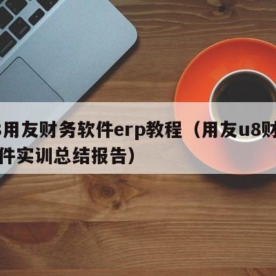 u8用友财务软件erp教程（用友u8财务软件实训总结报告）