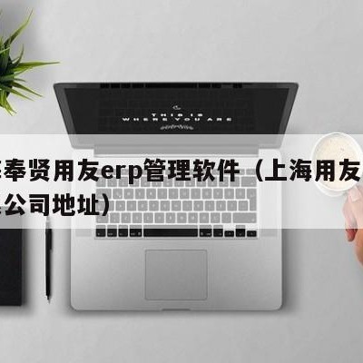 上海奉贤用友erp管理软件（上海用友软件有限公司地址）