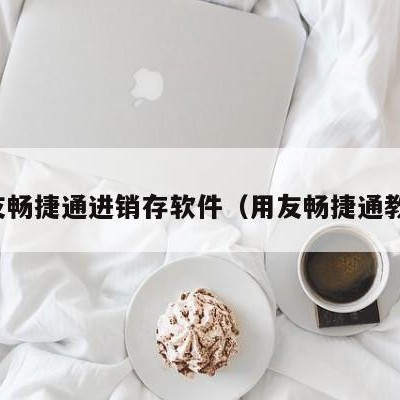 用友畅捷通进销存软件（用友畅捷通教程）