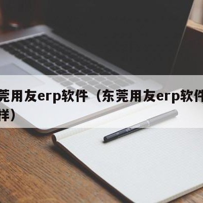 东莞用友erp软件（东莞用友erp软件怎么样）