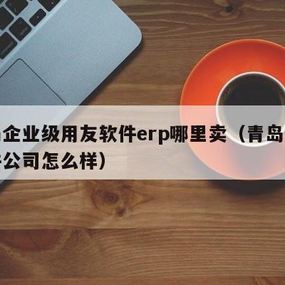 青岛企业级用友软件erp哪里卖（青岛用友软件公司怎么样）