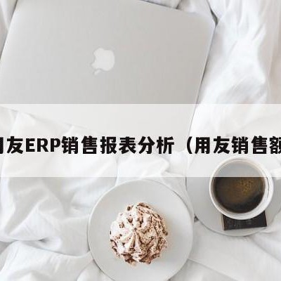 用友ERP销售报表分析（用友销售额）