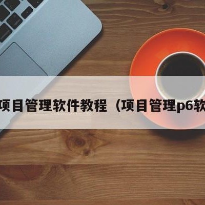 p3项目管理软件教程（项目管理p6软件）