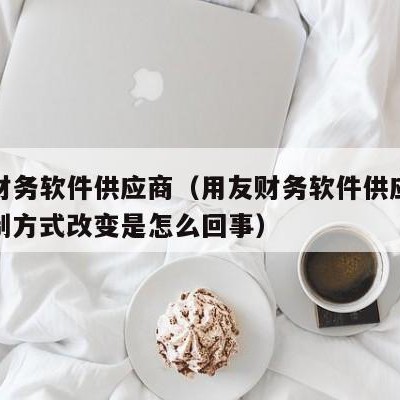 用友财务软件供应商（用友财务软件供应商往来控制方式改变是怎么回事）