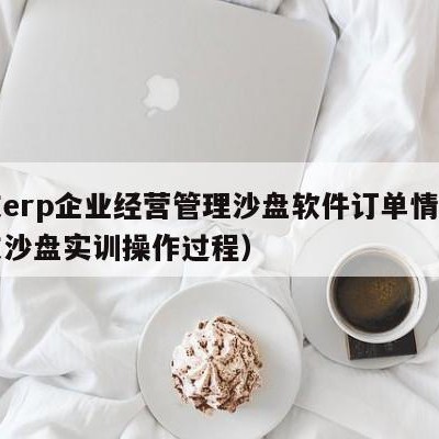 用友erp企业经营管理沙盘软件订单情况（用友沙盘实训操作过程）