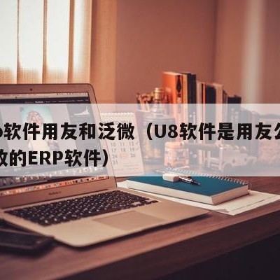 erp软件用友和泛微（U8软件是用友公司开放的ERP软件）