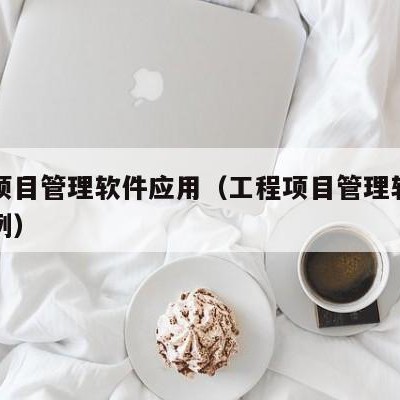 工程项目管理软件应用（工程项目管理软件应用案例）