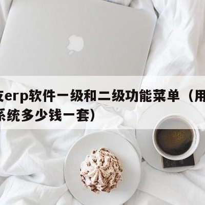 用友erp软件一级和二级功能菜单（用友erp系统多少钱一套）