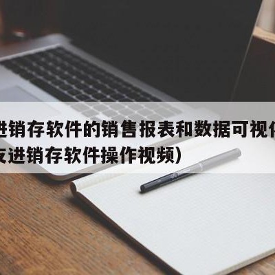 用友进销存软件的销售报表和数据可视化模块（用友进销存软件操作视频）