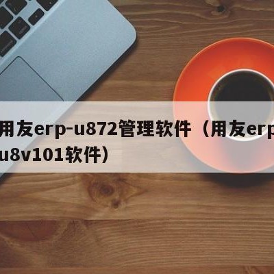 用友erp-u872管理软件（用友erpu8v101软件）