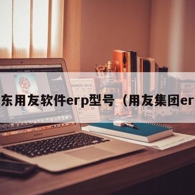 河东用友软件erp型号（用友集团erp）