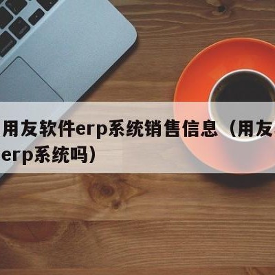 滨州用友软件erp系统销售信息（用友软件属于erp系统吗）