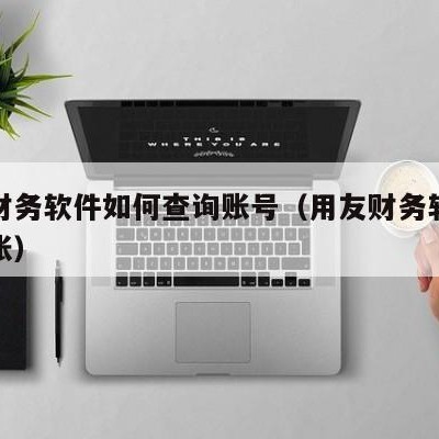 用友财务软件如何查询账号（用友财务软件怎么查账）