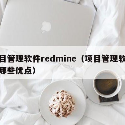 项目管理软件redmine（项目管理软件有哪些优点）