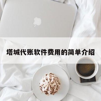 塔城代账软件费用的简单介绍