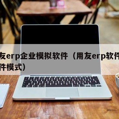 用友erp企业模拟软件（用友erp软件的软件模式）