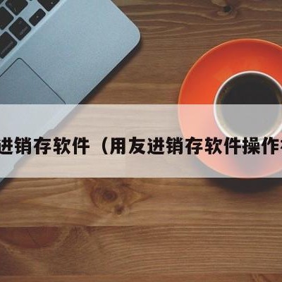 友商进销存软件（用友进销存软件操作视频）