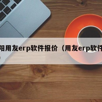 衡阳用友erp软件报价（用友erp软件价格）