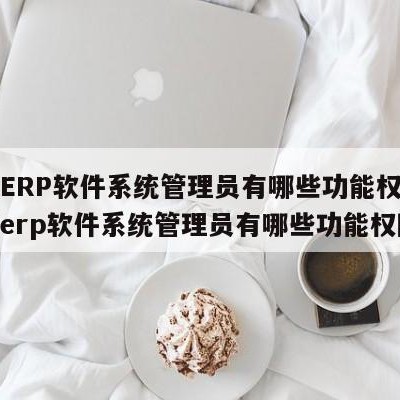 用友ERP软件系统管理员有哪些功能权限（用友erp软件系统管理员有哪些功能权限）