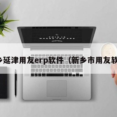 新乡延津用友erp软件（新乡市用友软件）