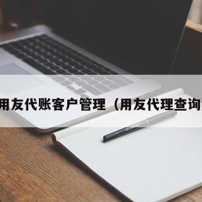 用友代账客户管理（用友代理查询）