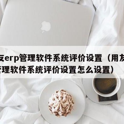 用友erp管理软件系统评价设置（用友erp管理软件系统评价设置怎么设置）