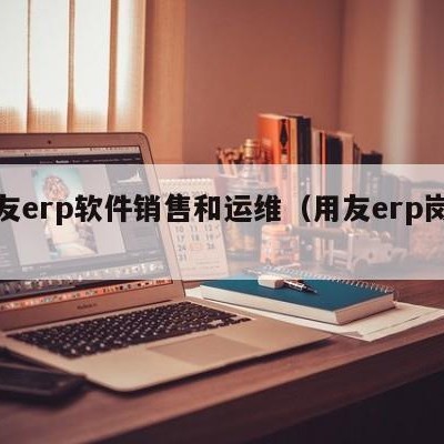 用友erp软件销售和运维（用友erp岗位）